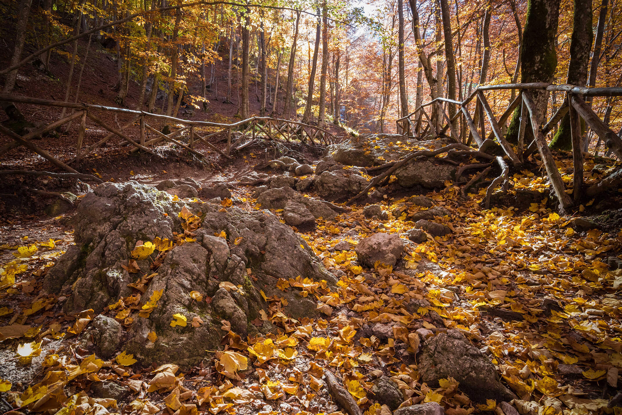 parco-nazionale-abruzzo (1)